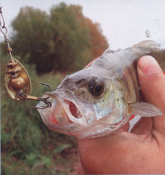 Рибалка на Русі