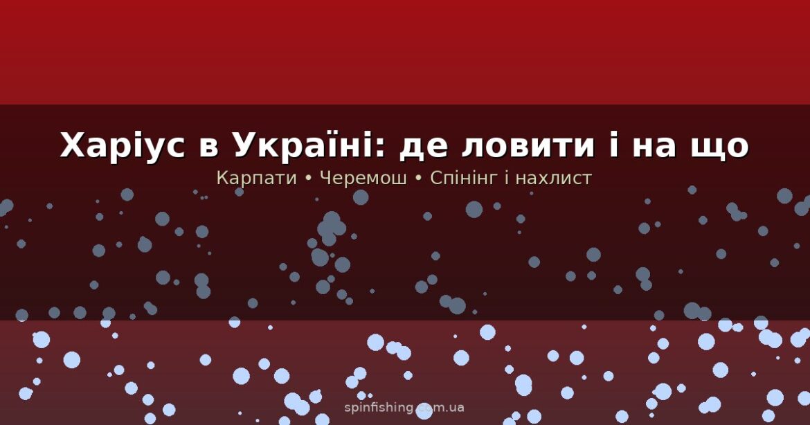 Харіус в Україні: де ловити, снасті та техніка ловлі на спінінг