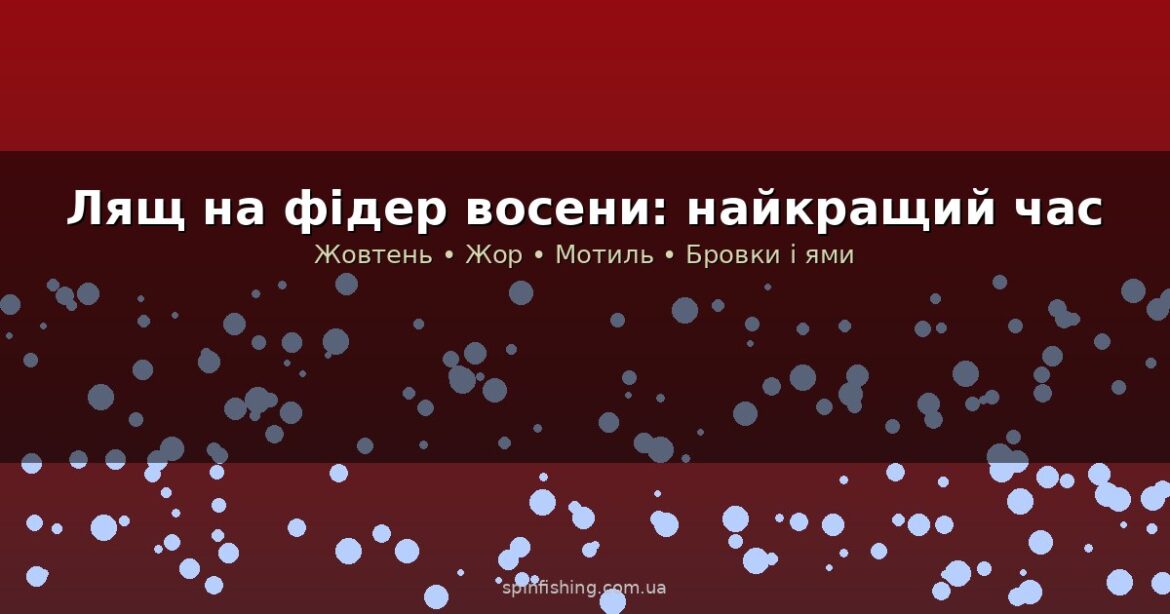 Лящ на фідер восени: тактика, місця і чому осінь — найкращий час